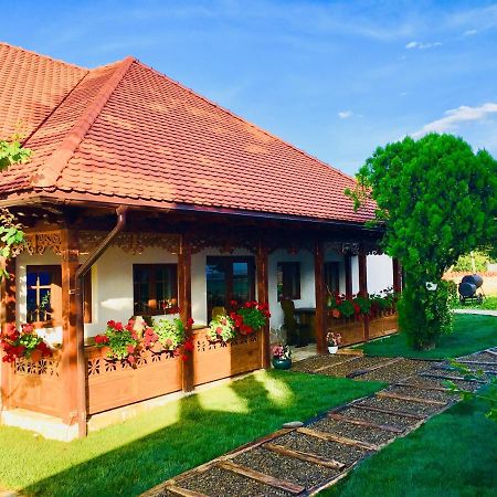 Conacul Grigorescu Ratesti Ngoại thất bức ảnh