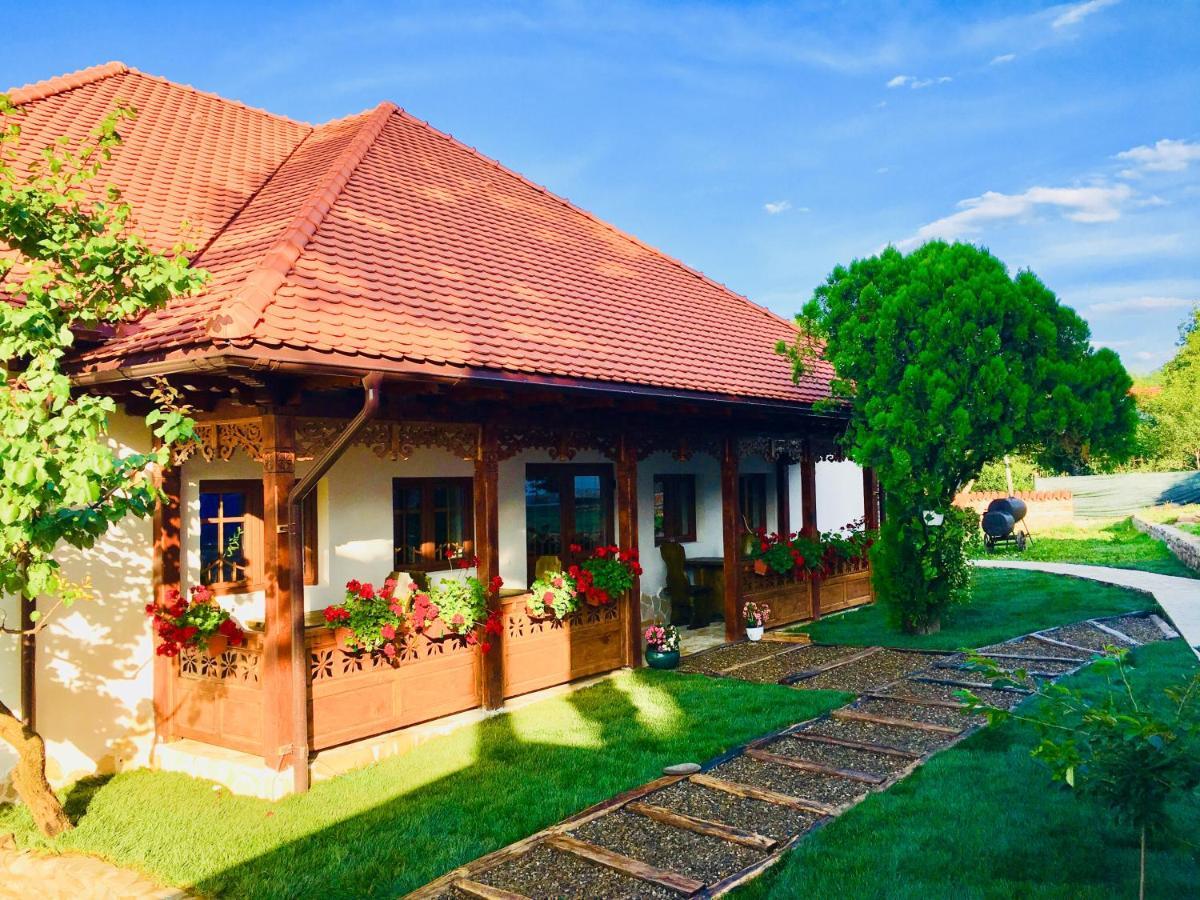 Conacul Grigorescu Ratesti Ngoại thất bức ảnh