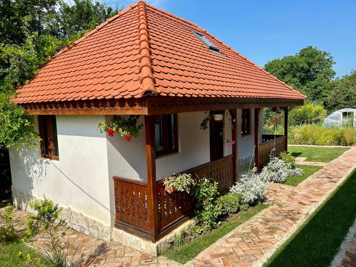 Conacul Grigorescu Ratesti Ngoại thất bức ảnh